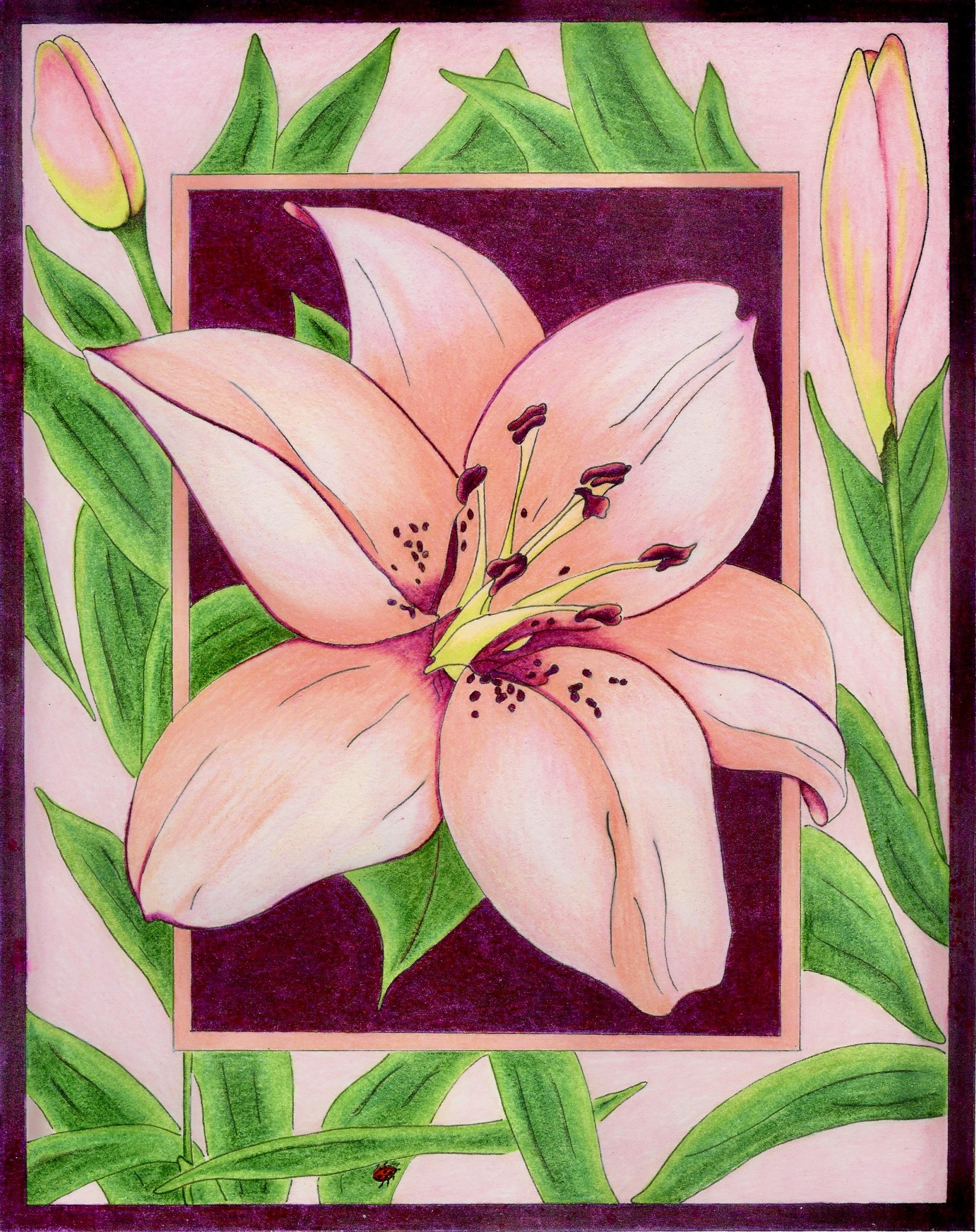 Lily