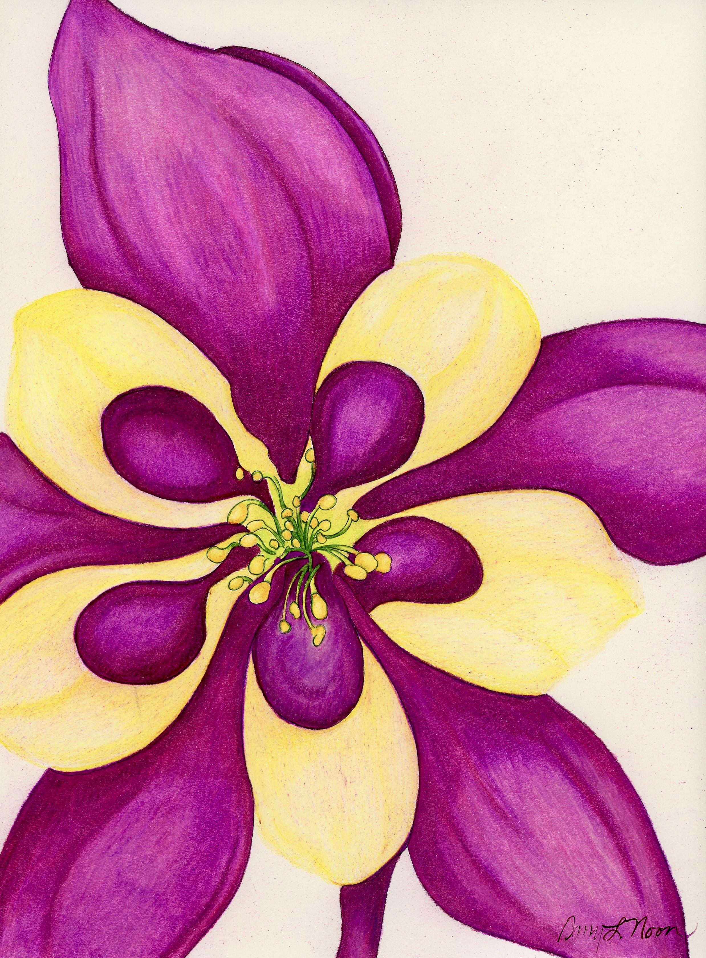Columbine VI