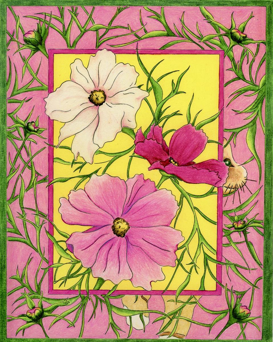 Cosmos