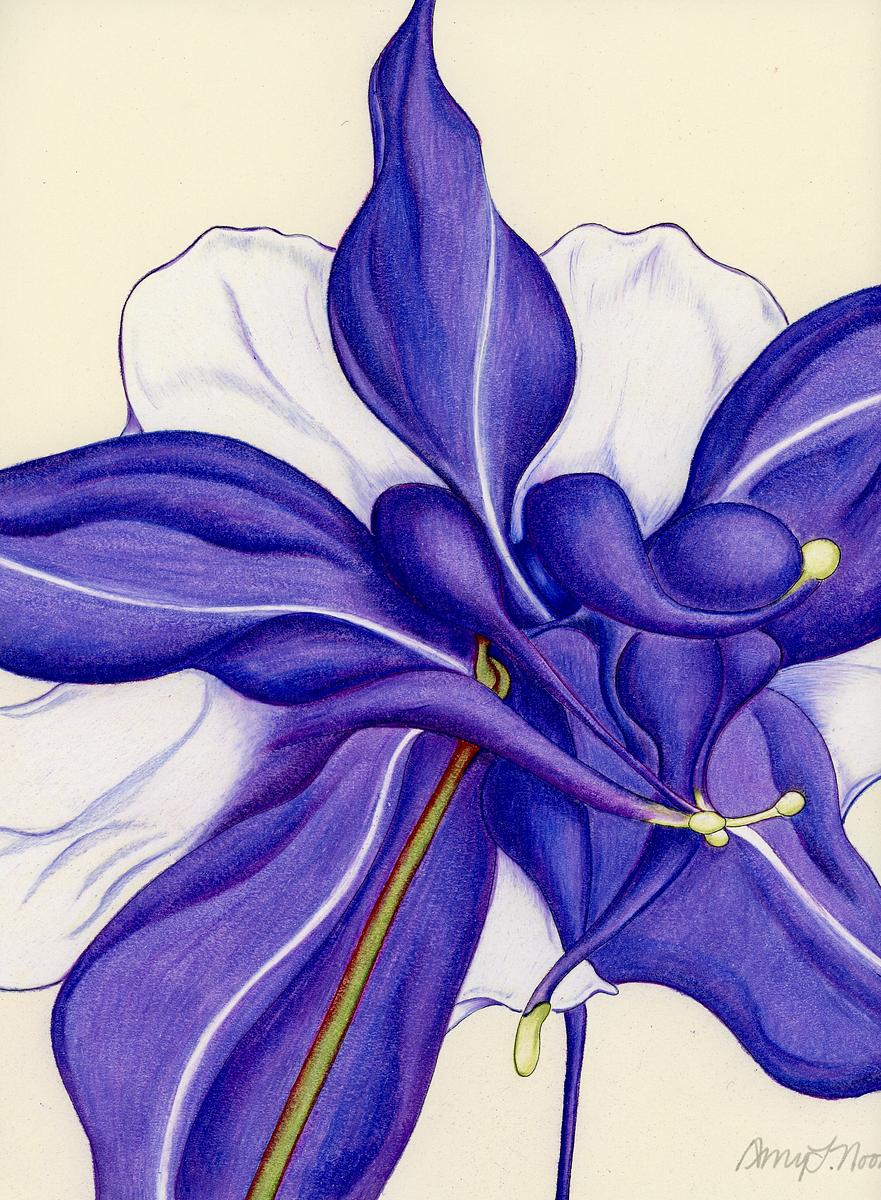 Columbine II
