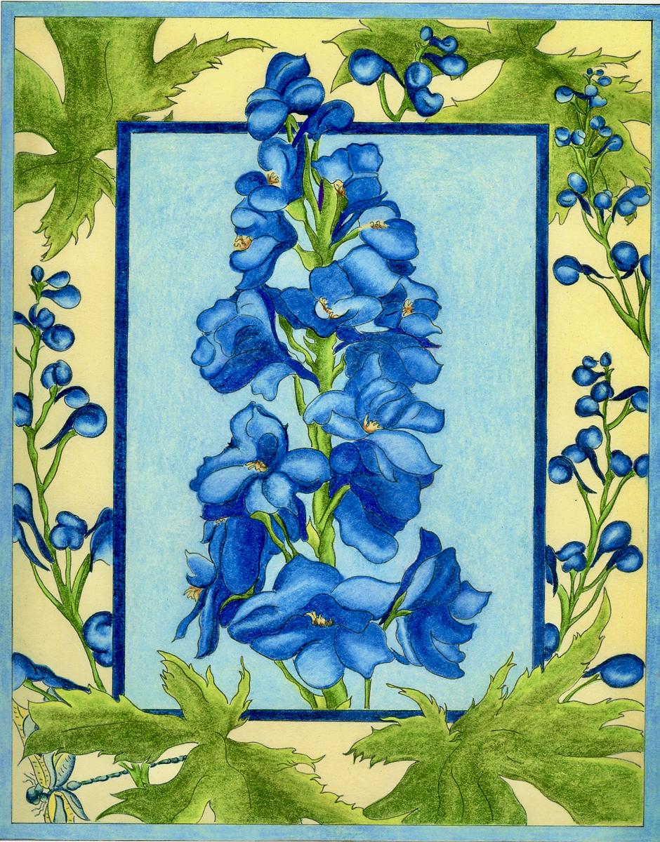 Delphinium