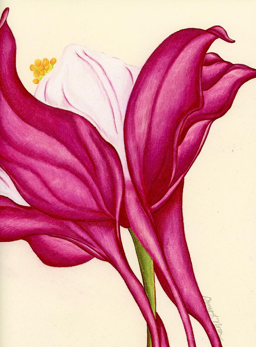 Columbine VII