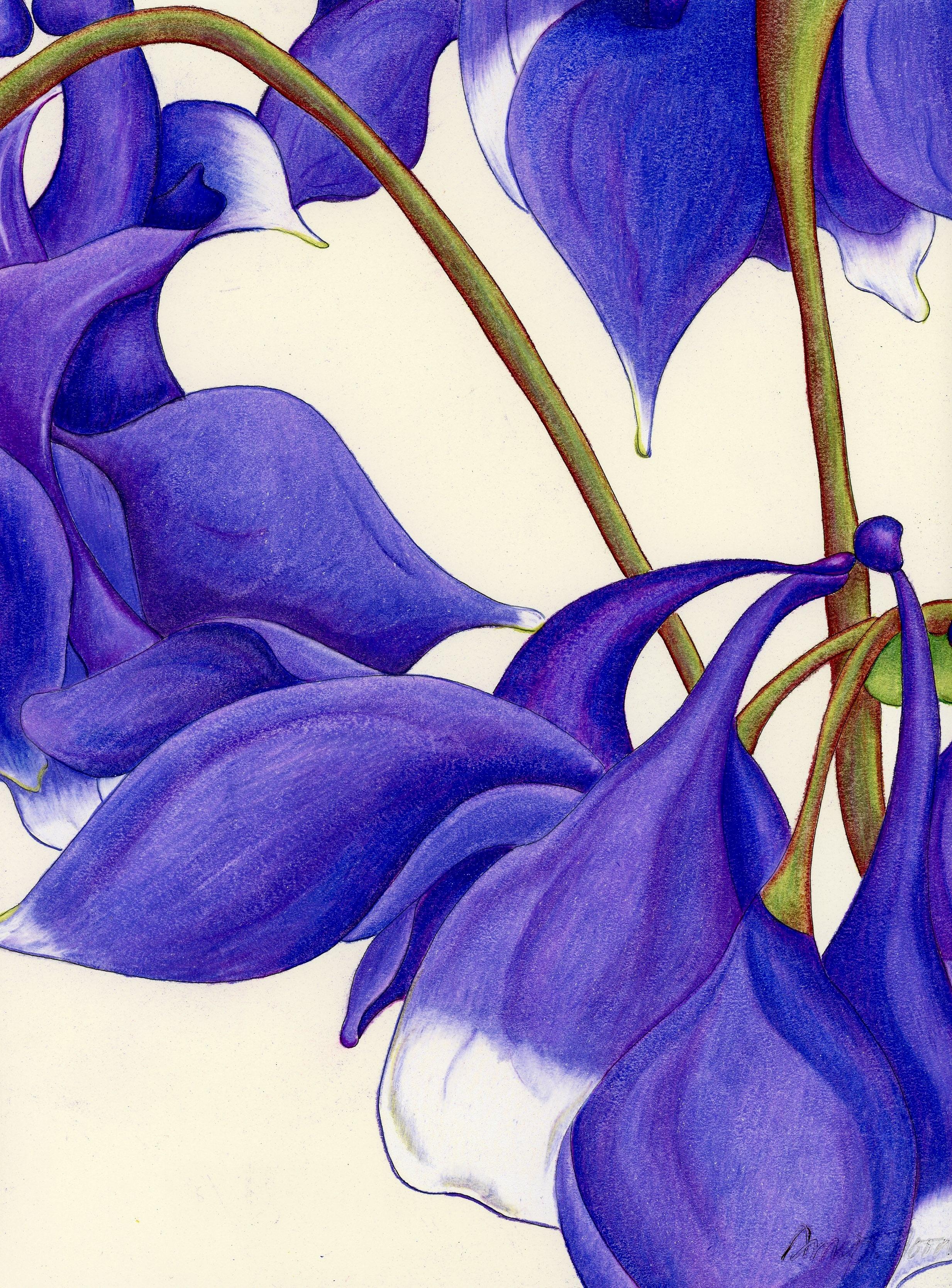Columbine I