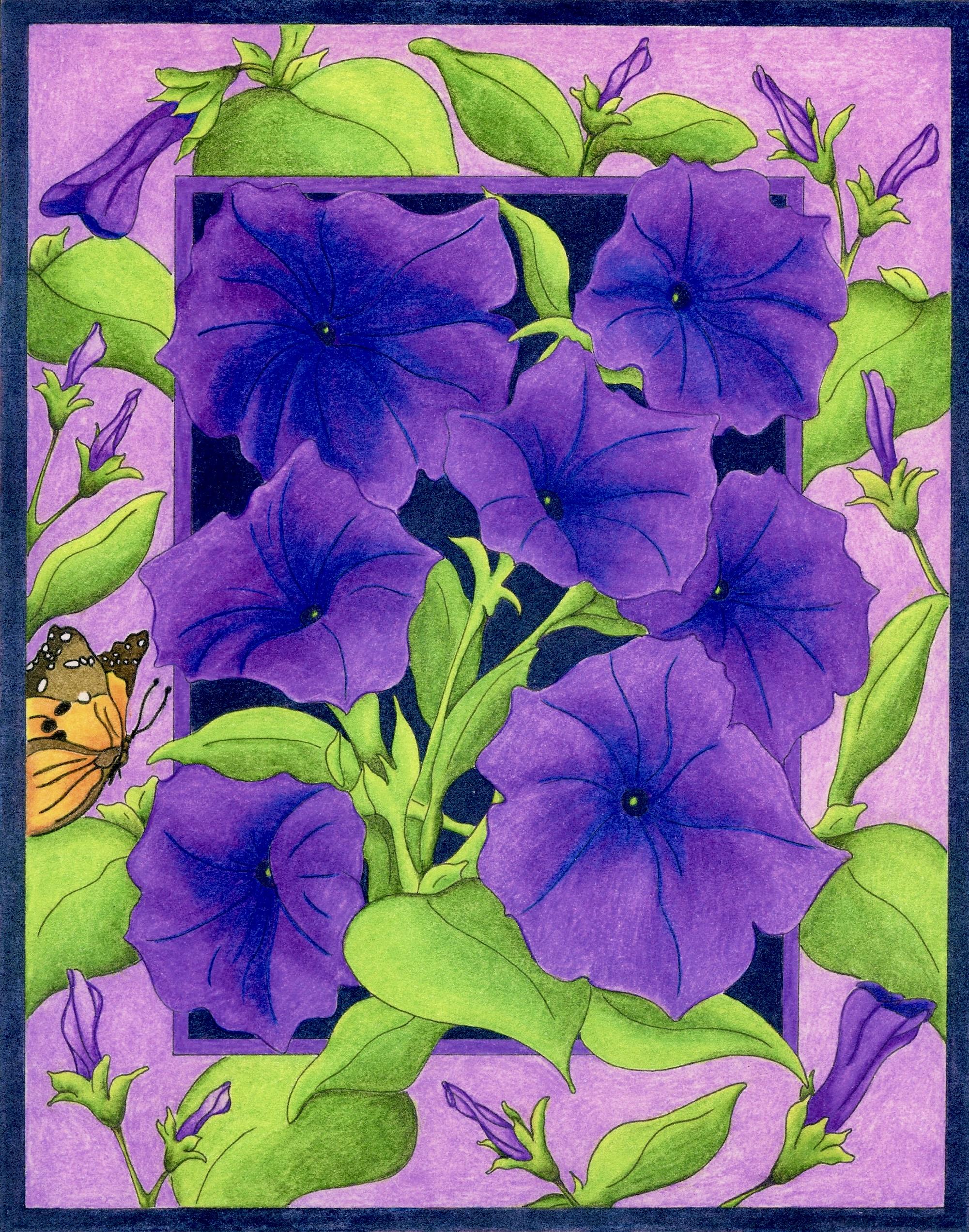 Petunia