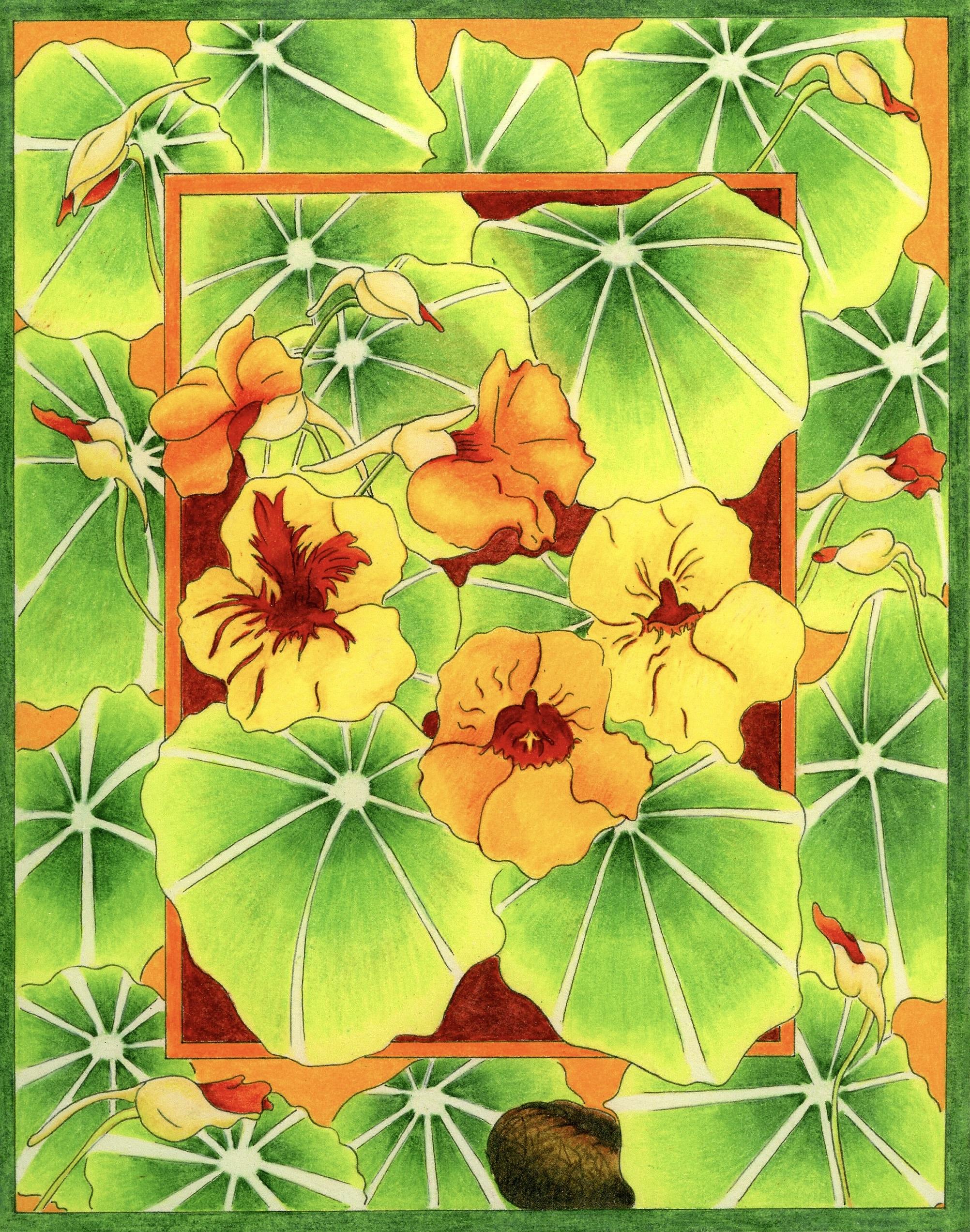 Nasturtium