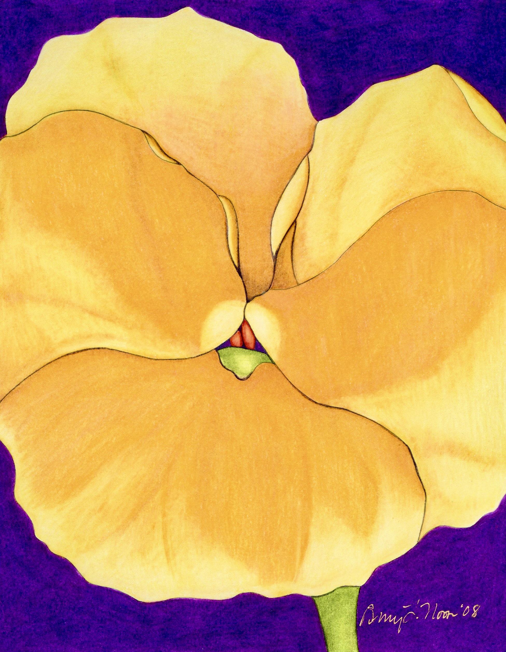 Pansy 1