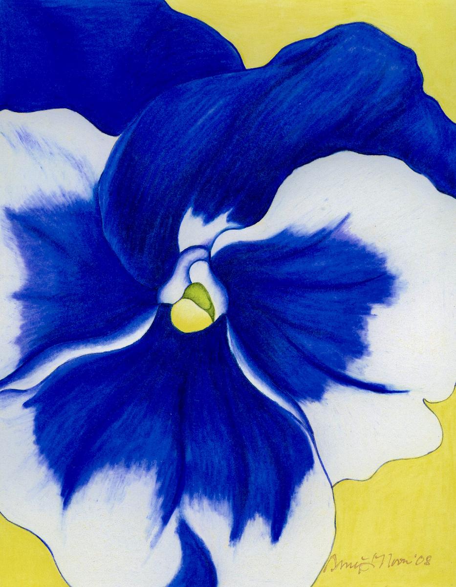 Pansy 4