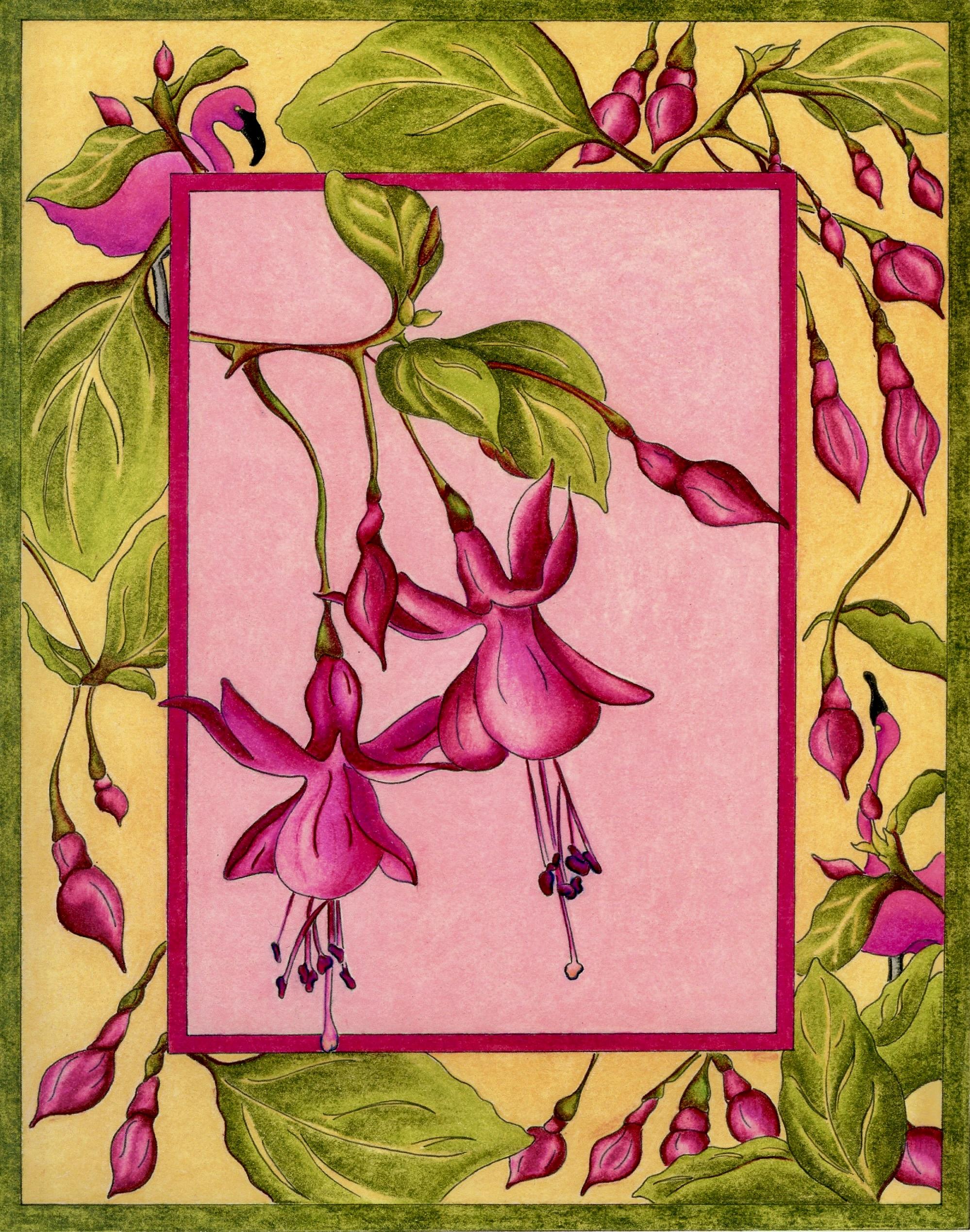 Fuchsia